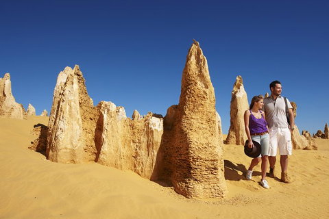 4-Day Coastal Loop Via Monkey Mia Wild Dolphins Kalbarri Pinnacles Perth Return - New Castle Holiday 4