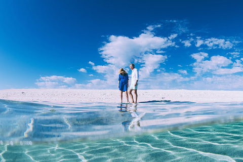 4-Day Coastal Loop Via Monkey Mia Wild Dolphins Kalbarri Pinnacles Perth Return - New Castle Holiday 13