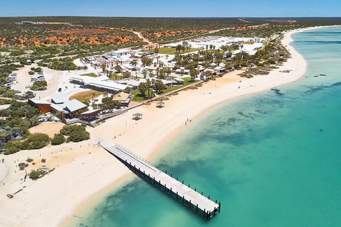 4-Day Coastal Loop Via Monkey Mia Wild Dolphins Kalbarri Pinnacles Perth Return - New Castle Holiday 10