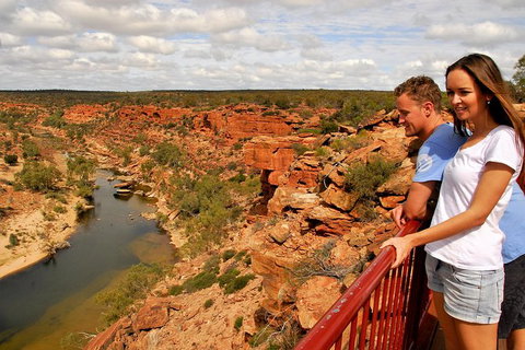 4-Day Coastal Loop Via Monkey Mia Wild Dolphins Kalbarri Pinnacles Perth Return - New Castle Holiday 11