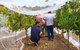 Premium Cider, Wine & Whiskey Tour - Small Group Full-Day Tour From Perth - thumb 7