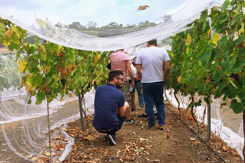 Premium Cider, Wine & Whiskey Tour - Small Group Full-Day Tour From Perth - New Castle Holiday 7