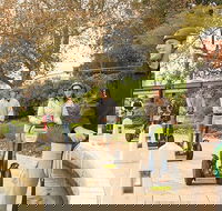 Perth East Foreshore and City Segway Tour - New Castle Holiday