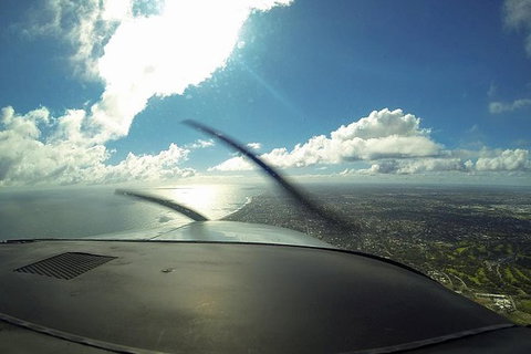 Bunbury Dolphins Discovery Tour - Fly From Perth - New Castle Holiday 4