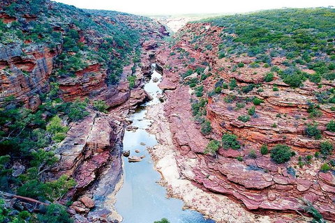 Kalbarri Gorges & West Coast - Ground & Air Tour - New Castle Holiday 5
