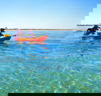 Turtle Tour - Ningaloo Reef Half Day Sea Kayak and Snorkel Tour - New Castle Holiday