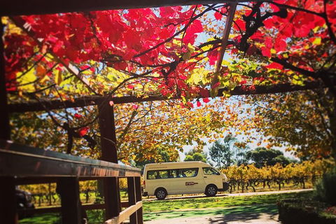 Ultimate Swan Valley Food And Wine Day Trip From Perth - New Castle Holiday 12