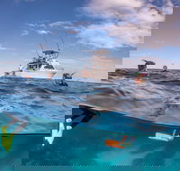 Exclusive Ningaloo Adventure Charter from Exmouth - New Castle Holiday