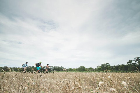 Electric Bike Winery And Brewery Tour - New Castle Holiday 0
