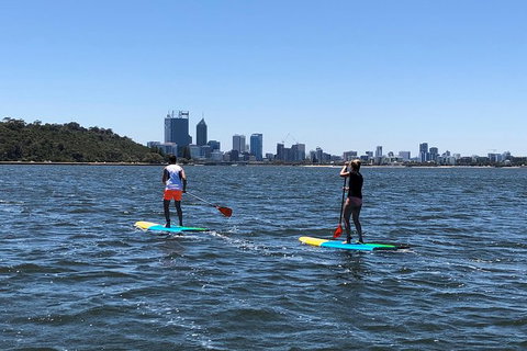 Stand Up Paddle Board Hire - New Castle Holiday 1
