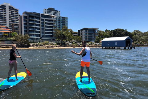 Stand Up Paddle Board Hire - New Castle Holiday 5