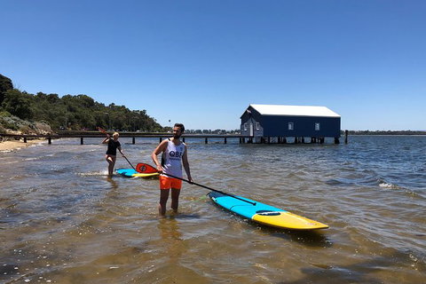 Stand Up Paddle Board Hire - New Castle Holiday 6