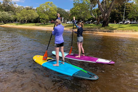 Stand Up Paddle Board Hire - New Castle Holiday 7