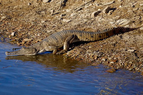 Lake Argyle Morning Cruise - New Castle Holiday 7