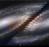 Dusk to Dawn Astronomy Experience at Bullara Station Stay - New Castle Holiday