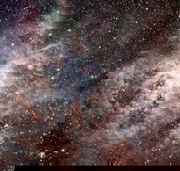 Overnight Astronomy Experience Ningaloo - Yardie Homestead - New Castle Holiday