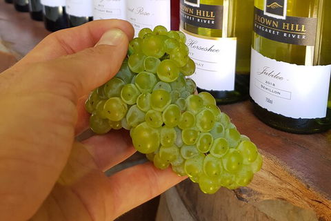 5 Hours Wineries, Coffee Tasting, Forest & Lunch At The Berry Farm - New Castle Holiday 12