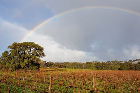 5 Hours Wineries, Coffee Tasting, Forest & Lunch At The Berry Farm - New Castle Holiday 20