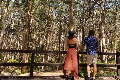 5 Hours Wineries, Coffee Tasting, Forest & Lunch At The Berry Farm - New Castle Holiday 11