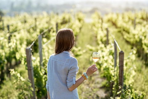 5 Hours Wineries, Coffee Tasting, Forest & Lunch At The Berry Farm - New Castle Holiday 5