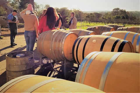 5 Hours Wineries, Coffee Tasting, Forest & Lunch At The Berry Farm - New Castle Holiday 2