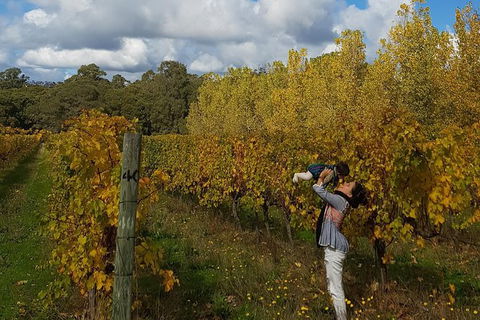 5 Hours Wineries, Coffee Tasting, Forest & Lunch At The Berry Farm - New Castle Holiday 17