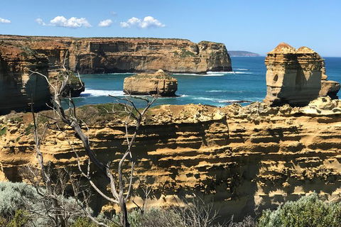 Great Ocean Road Reverse Itinerary Tour - New Castle Holiday 10