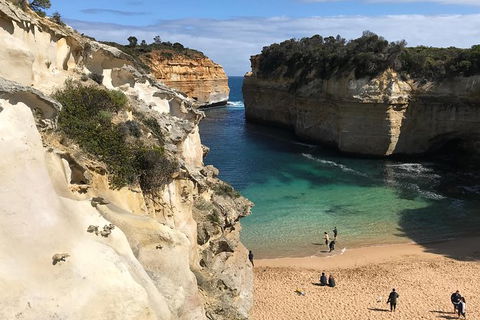 Great Ocean Road Reverse Itinerary Tour - New Castle Holiday 3