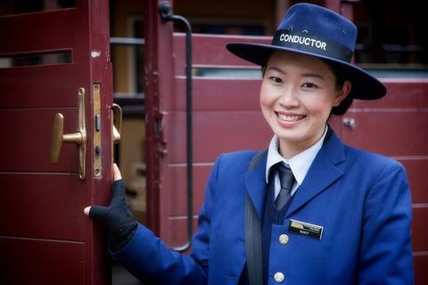 Puffing Billy, Moonlit Sanctuary & Penguins Day Tour - New Castle Holiday 1