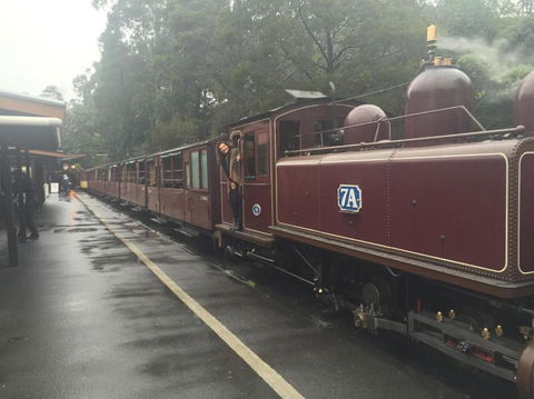 Puffing Billy, Moonlit Sanctuary & Penguins Day Tour - New Castle Holiday 2