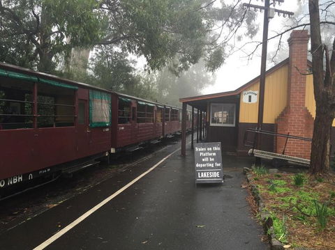 Puffing Billy, Moonlit Sanctuary & Penguins Day Tour - New Castle Holiday 3