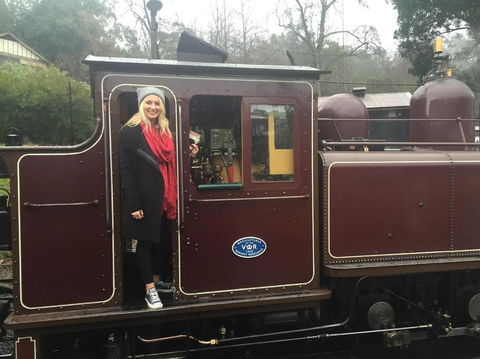 Puffing Billy, Moonlit Sanctuary & Penguins Day Tour - New Castle Holiday 5