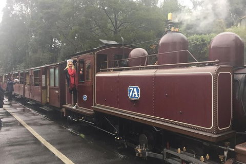 Puffing Billy, Moonlit Sanctuary & Penguins Day Tour - New Castle Holiday 13