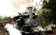 Puffing Billy, Moonlit Sanctuary & Penguins Day Tour - thumb 9