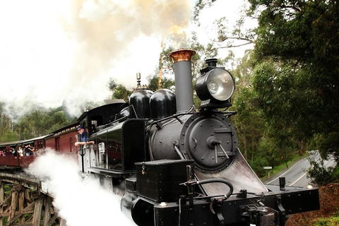 Puffing Billy, Moonlit Sanctuary & Penguins Day Tour - New Castle Holiday 9
