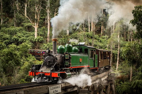 Puffing Billy, Moonlit Sanctuary & Penguins Day Tour - New Castle Holiday 6