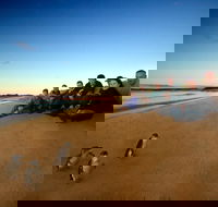Phillip Island Ultimate Penguin Eco Tour or Skybox Experience - New Castle Holiday