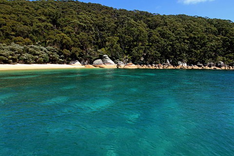 Wilsons Promontory Full Day Cruise - New Castle Holiday 5
