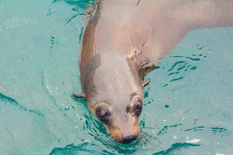 Wilsons Promontory Full Day Cruise - New Castle Holiday 6