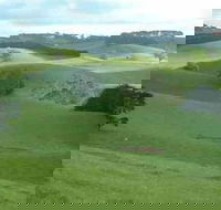 Day Tour of Phillip Island  Surrounding Region - New Castle Holiday