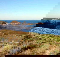 Phillip Island Walking  Bird Watching Tour - New Castle Holiday