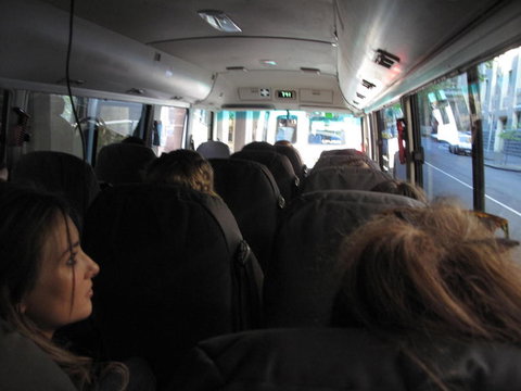 Phillip Island Penguin Parade Day Trip With Koala Park - New Castle Holiday 2