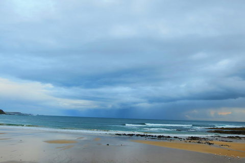 Phillip Island Penguin Parade Day Trip With Koala Park - New Castle Holiday 3