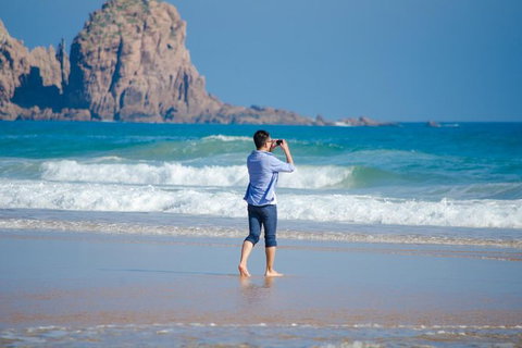 Phillip Island Penguin Parade Day Trip With Koala Park - New Castle Holiday 13