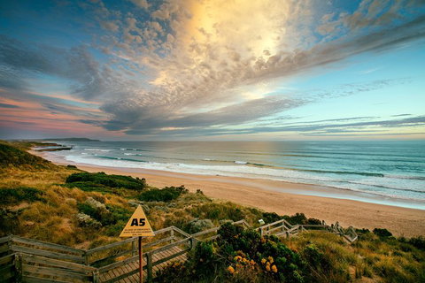 Phillip Island Penguin Parade Day Trip With Koala Park - New Castle Holiday 12