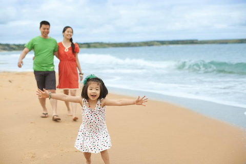 Phillip Island Penguin Parade Day Trip With Koala Park - New Castle Holiday 15