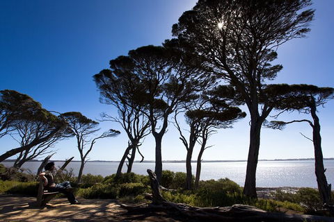 2 Day Exclusively Private Tour Of Phillip Island & The Penguin Parade - New Castle Holiday 9