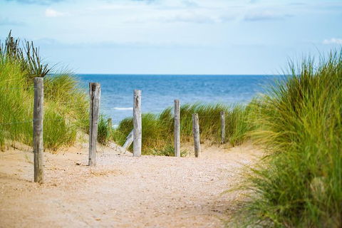 2 Day Exclusively Private Tour Of Phillip Island & The Penguin Parade - New Castle Holiday 3