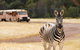 Werribee Open Range Zoo General Admission Ticket - thumb 1