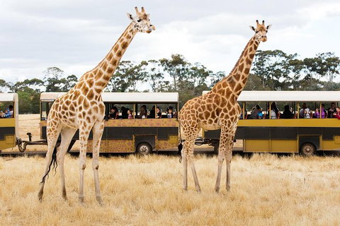 Werribee Open Range Zoo General Admission Ticket - New Castle Holiday 2